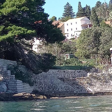 Gornje Celo Villa Sea Dream Kolocep מראה חיצוני תמונה