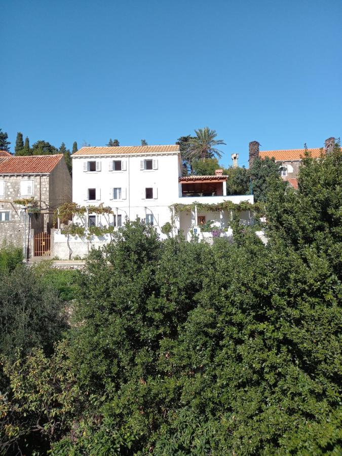 Gornje Celo Villa Sea Dream Kolocep מראה חיצוני תמונה