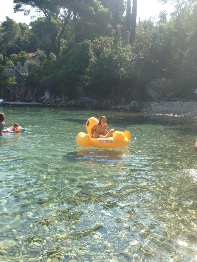 Gornje Celo Villa Sea Dream Kolocep מראה חיצוני תמונה