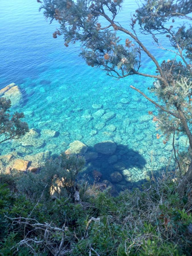 Gornje Celo Villa Sea Dream Kolocep מראה חיצוני תמונה
