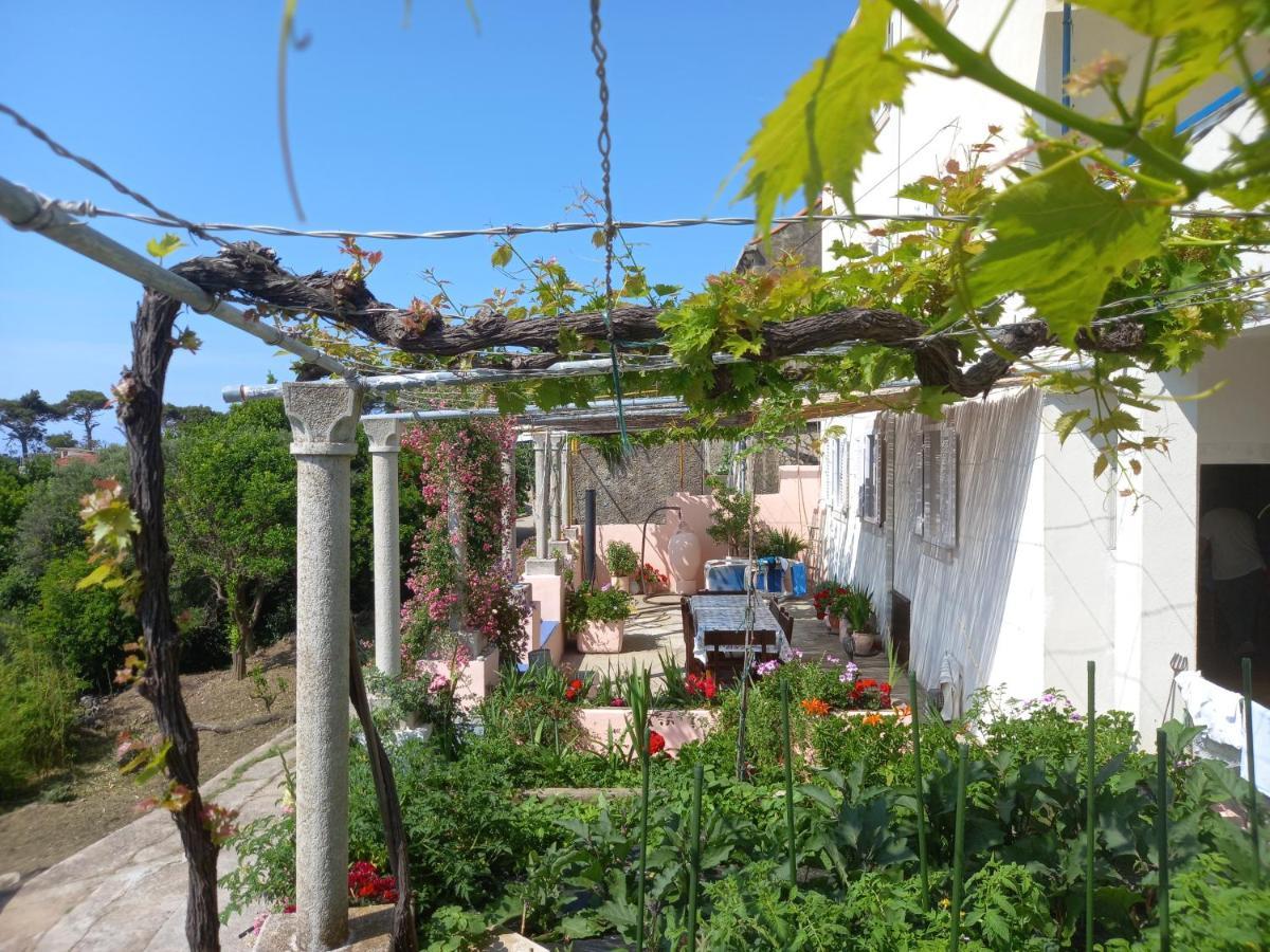 Gornje Celo Villa Sea Dream Kolocep מראה חיצוני תמונה