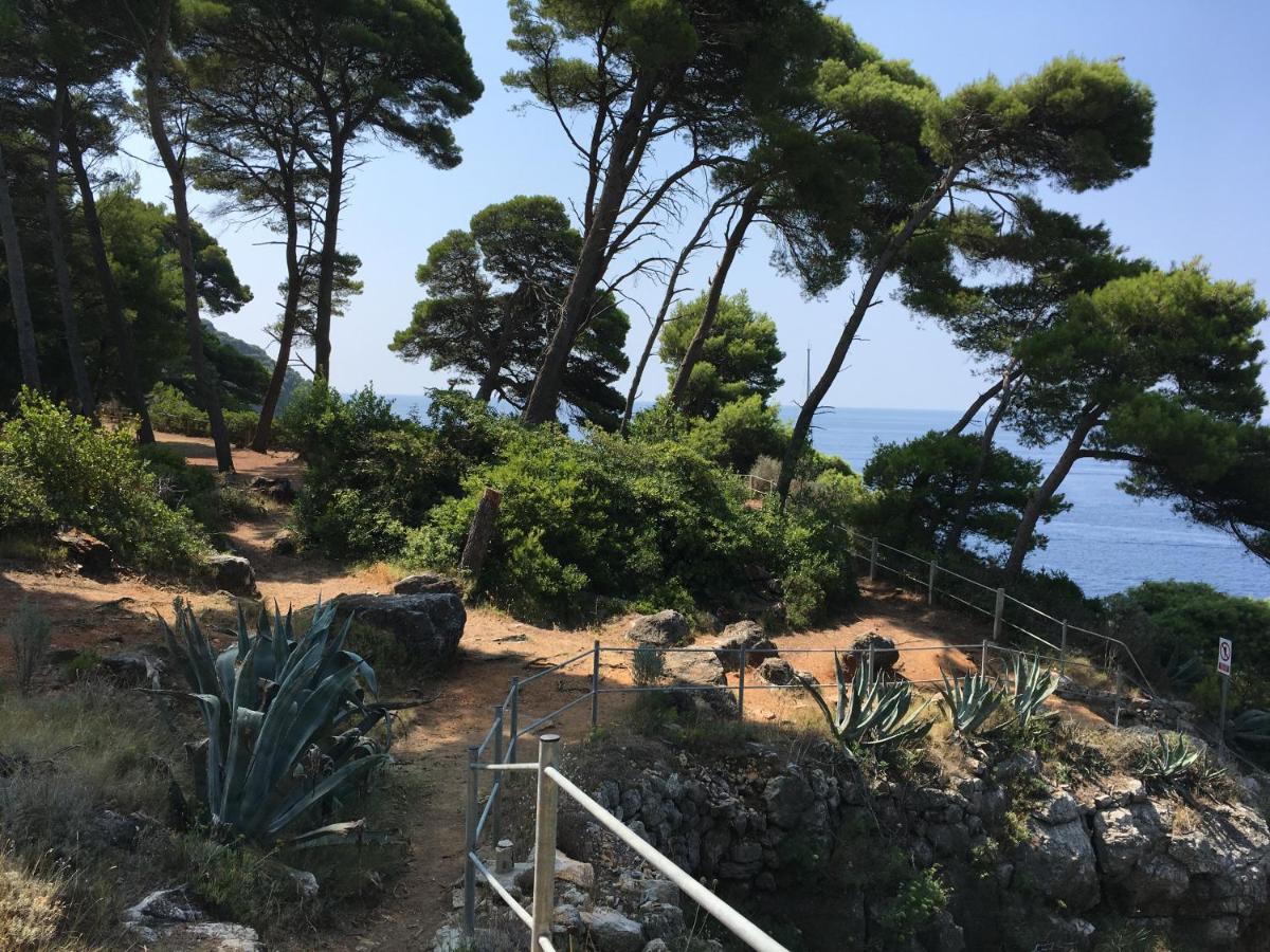 Gornje Celo Villa Sea Dream Kolocep מראה חיצוני תמונה