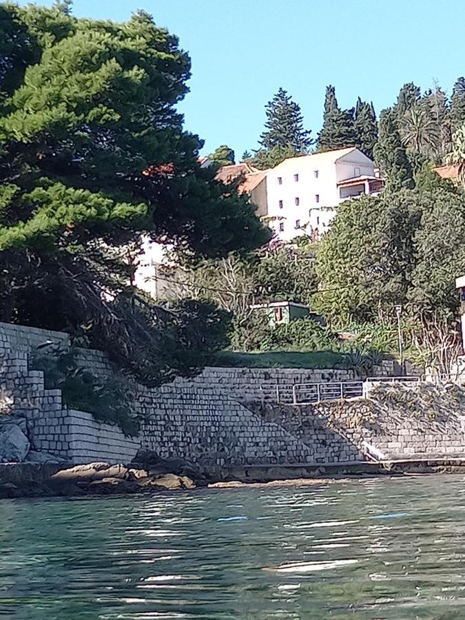 Gornje Celo Villa Sea Dream Kolocep מראה חיצוני תמונה