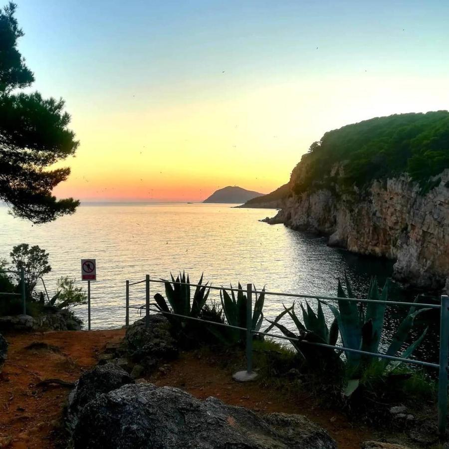 Gornje Celo Villa Sea Dream Kolocep מראה חיצוני תמונה